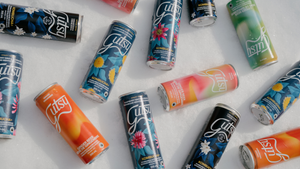 GUTSY DISCOVERY CASE | 16 PACK x 355ml