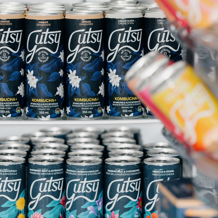 GUTSY DISCOVERY CASE | 16 PACK x 355ml