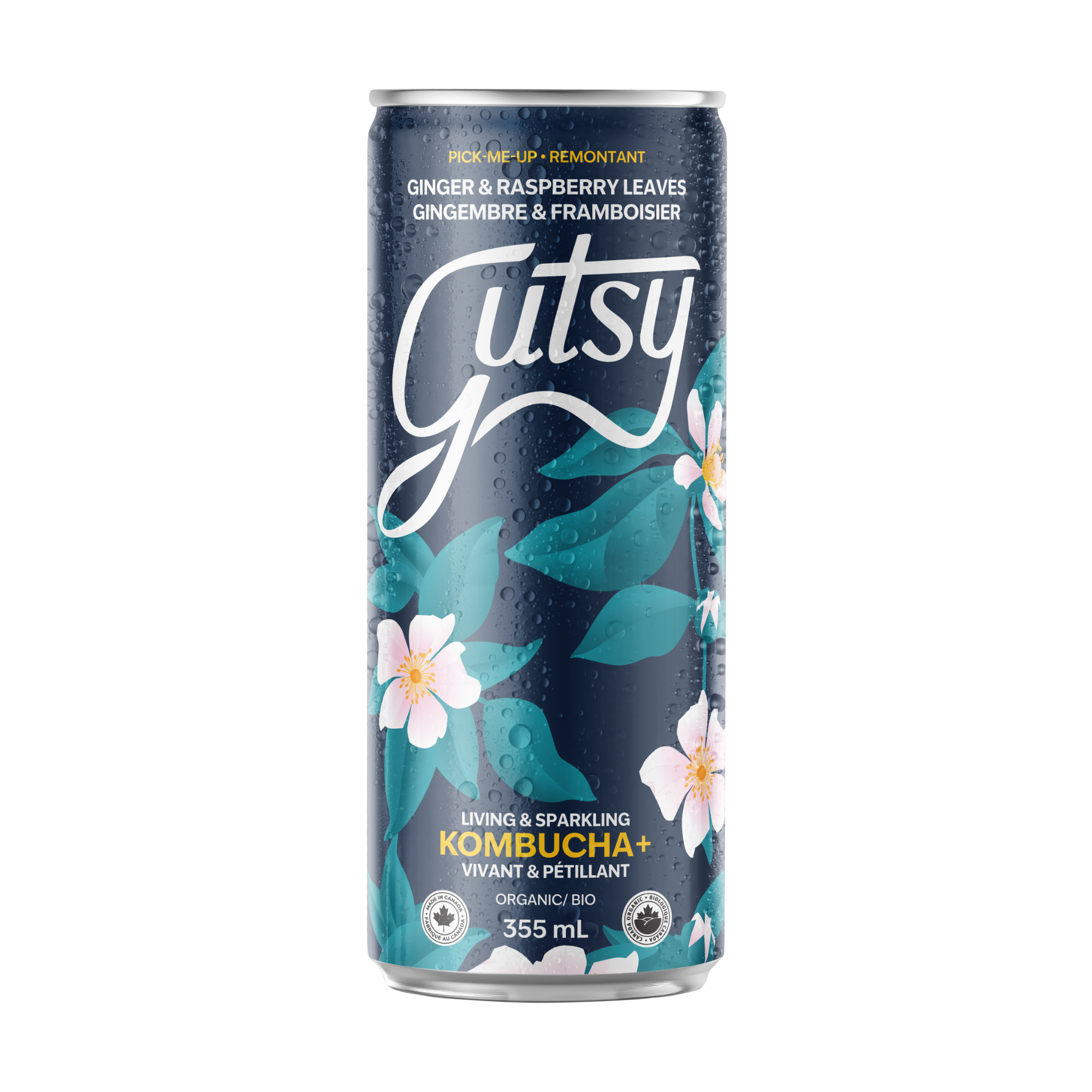 KOMBUCHA+ | GINGEMBRE & FRAMBOISIER | CAISSE DE 8 x 355ml